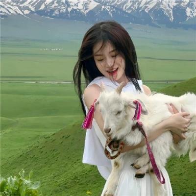 功夫熊猫4 海报